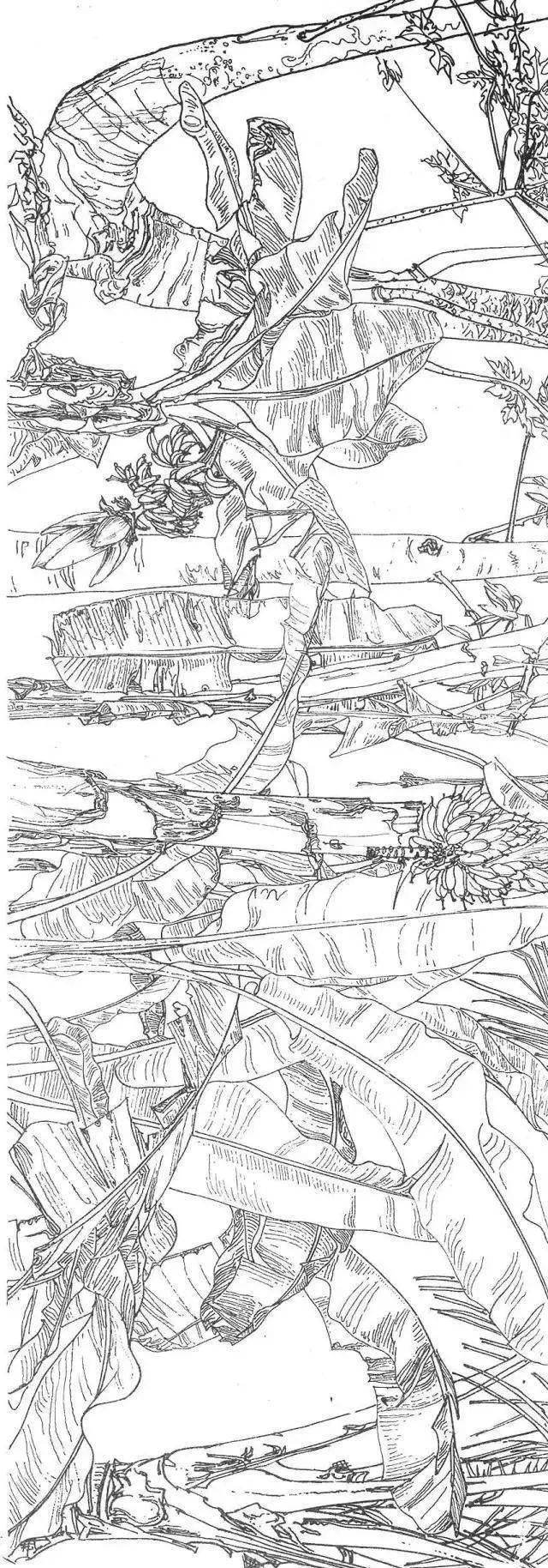 中央美术学院教授袁运生的白描作品