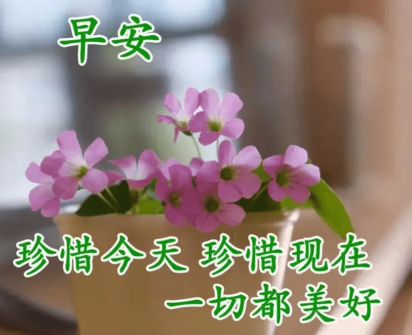 什么是真正的朋友语录 1fc5849d4dad4cf1ba807a1f72189b15.png