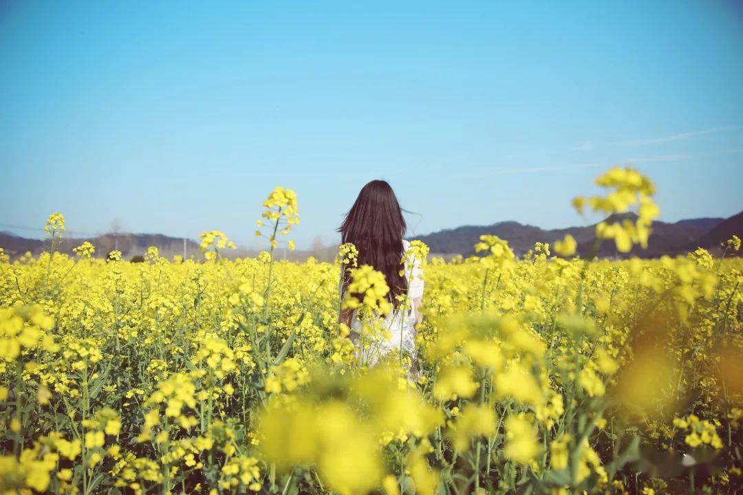 这样纯净的诗已经不多了,读了心里舒服多了(一)