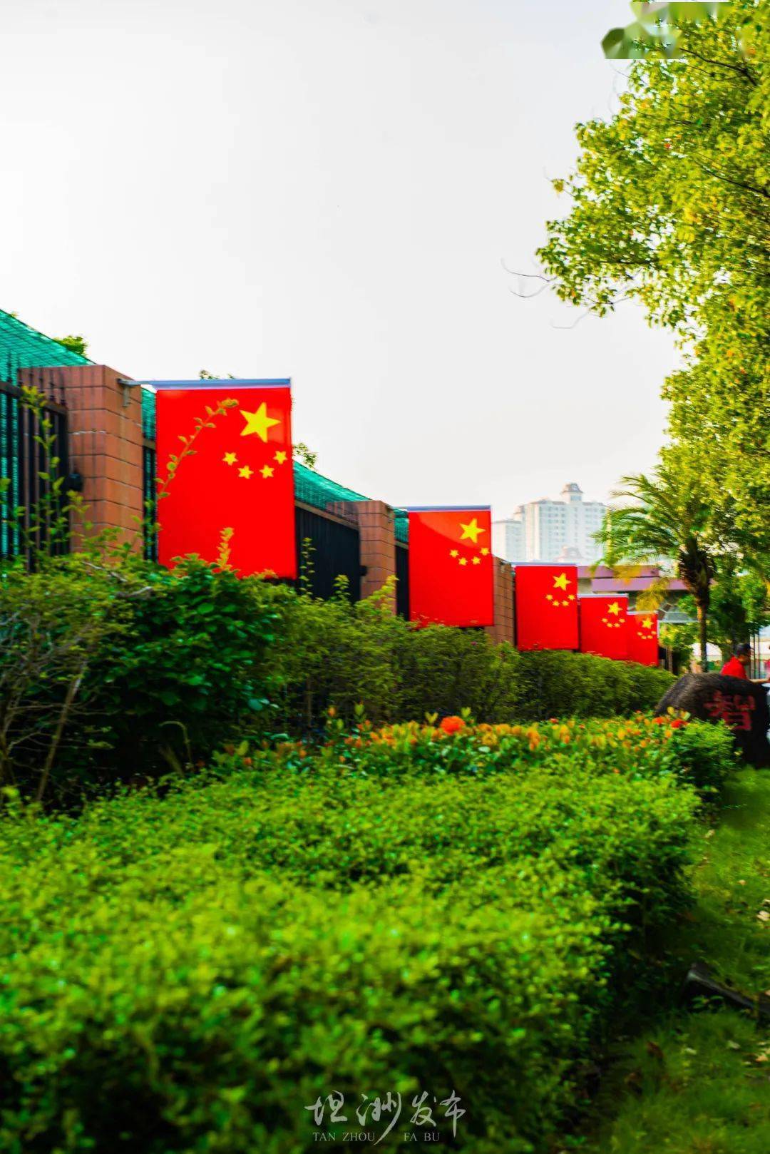 编辑:庄钿钿 梁鹏 梁文俊 刘小云责编:张颖铭总编辑:李军素材来源