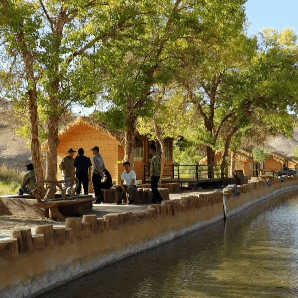 【文化旅游】阿克塞县多坝沟胡杨峡美景醉游人