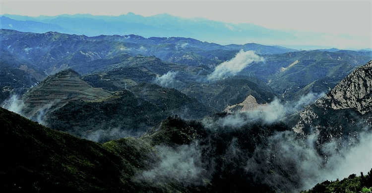 辋川组诗四首◇张弘培