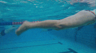 d8a0624c5bd54f669b4c734a8c2bca48.gif