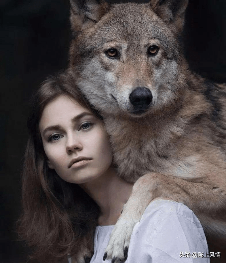 甘肃靖远狼文化暨民国狼患事件汇纂