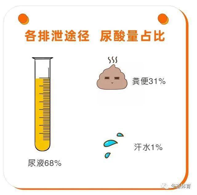 排尿酸最快的运动 56e92ed7ee9a4aca8e4c4bf6ce786a9e.jpeg