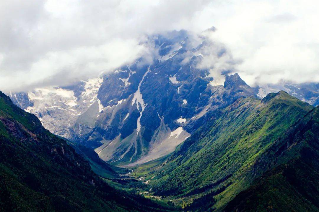 周末分享高山流石滩这里的花比任何地方都美丽