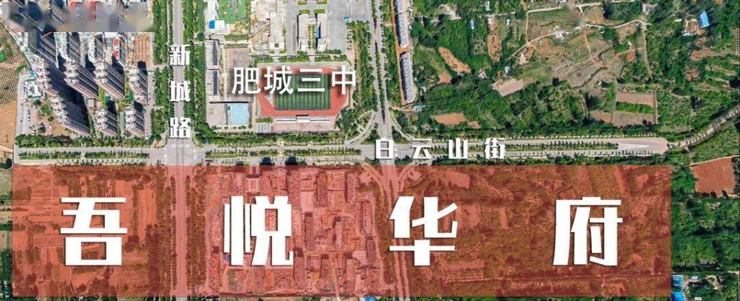 肥城吾悦广场上热门真相究竟是什么