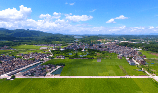 欢度国庆乡约江门江门这位航天伟人的故乡竟然有那么多好吃的特产