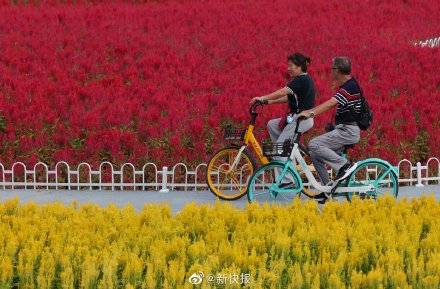 监测|国庆假期第二日 广东全省4A级以上景区接待游客292.7万人次