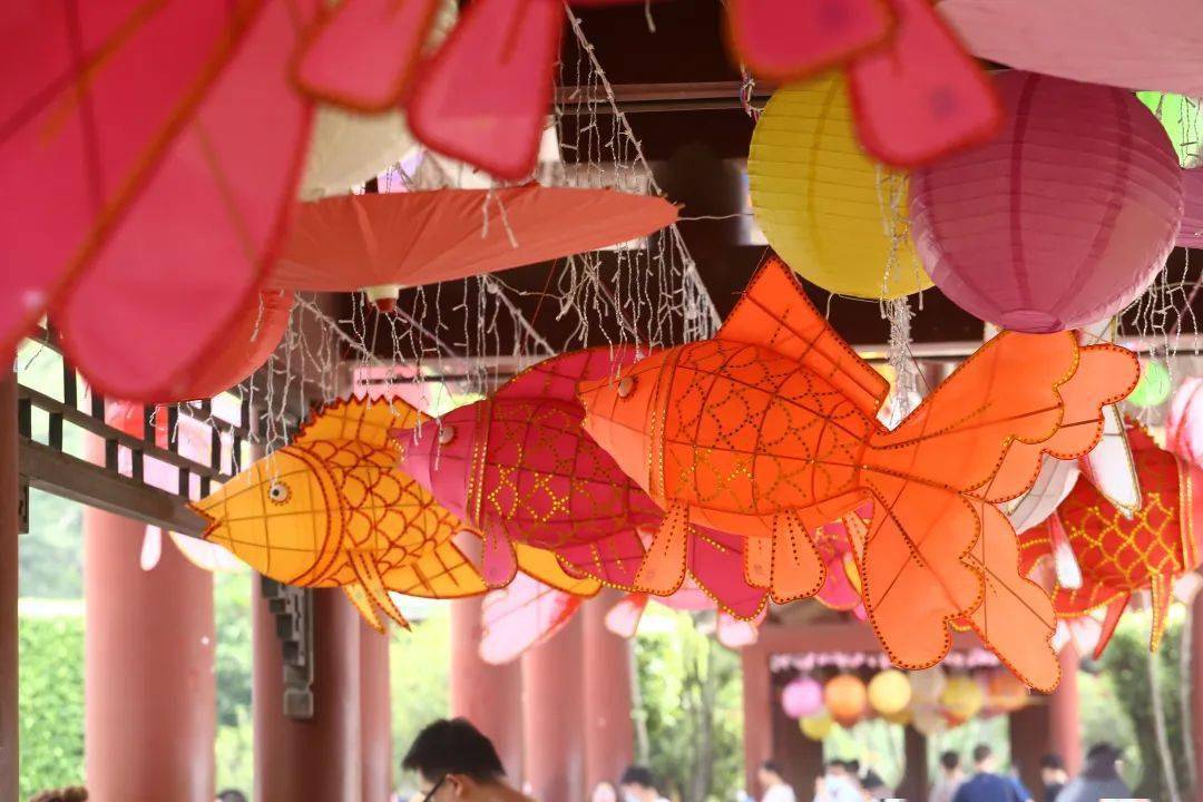 作为顺德区非物质文化遗产,富有水乡特色的大良鱼灯一直是顺德的文化