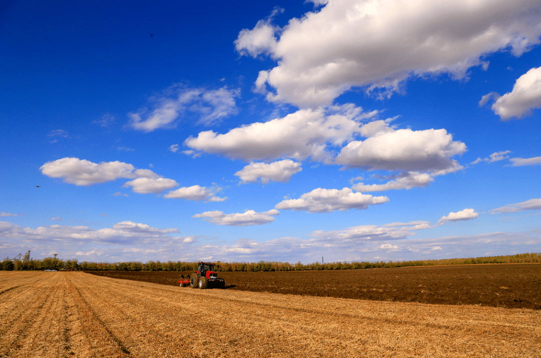 美丽北大荒我可爱的家乡