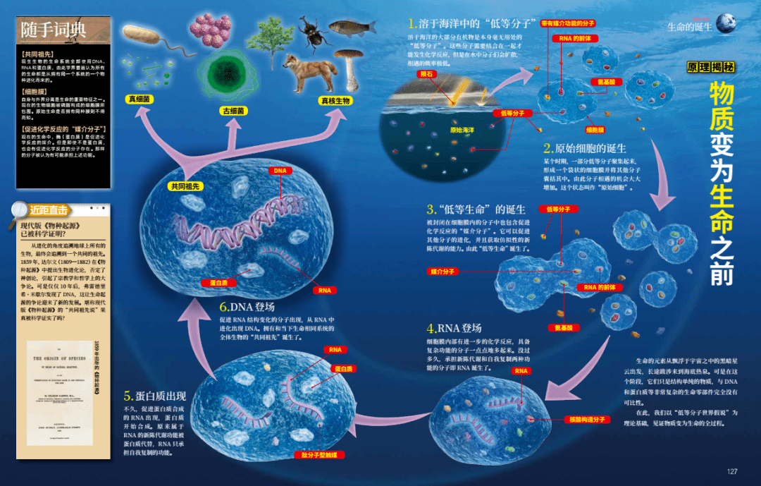 3b103de614fd4aecb1153404022a9080.png