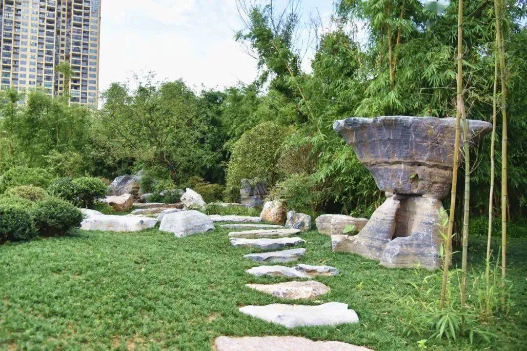 赏五彩音乐喷泉你可以畅享清城夜色的迷人浪漫南岸公园不仅只有视觉上