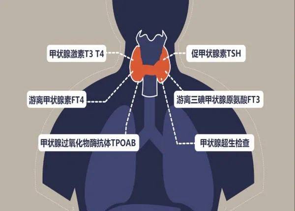 功能|美女主播秒变“更年期”，“我才30岁啊！”