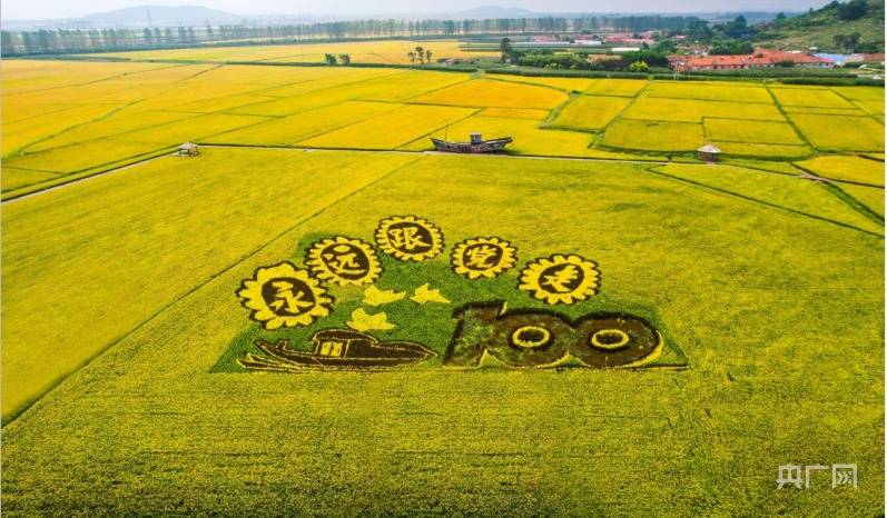 辽宁:丰景这边独好_农业