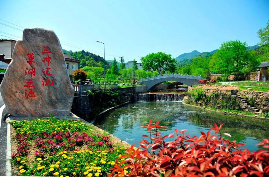 庐江县汤池镇汤果公路舒庐干渠南侧山坡,有近百亩的粉黛乱子草海.