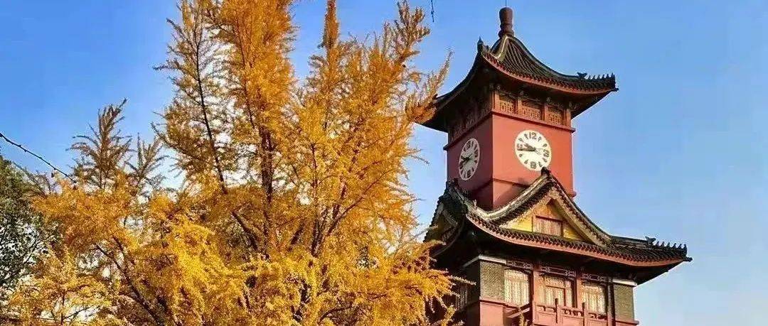 永远的华西——颜值与实力并存_工作