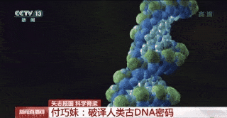 终极|付巧妹：破译人类古DNA密码 人类演化本身就是终极命题