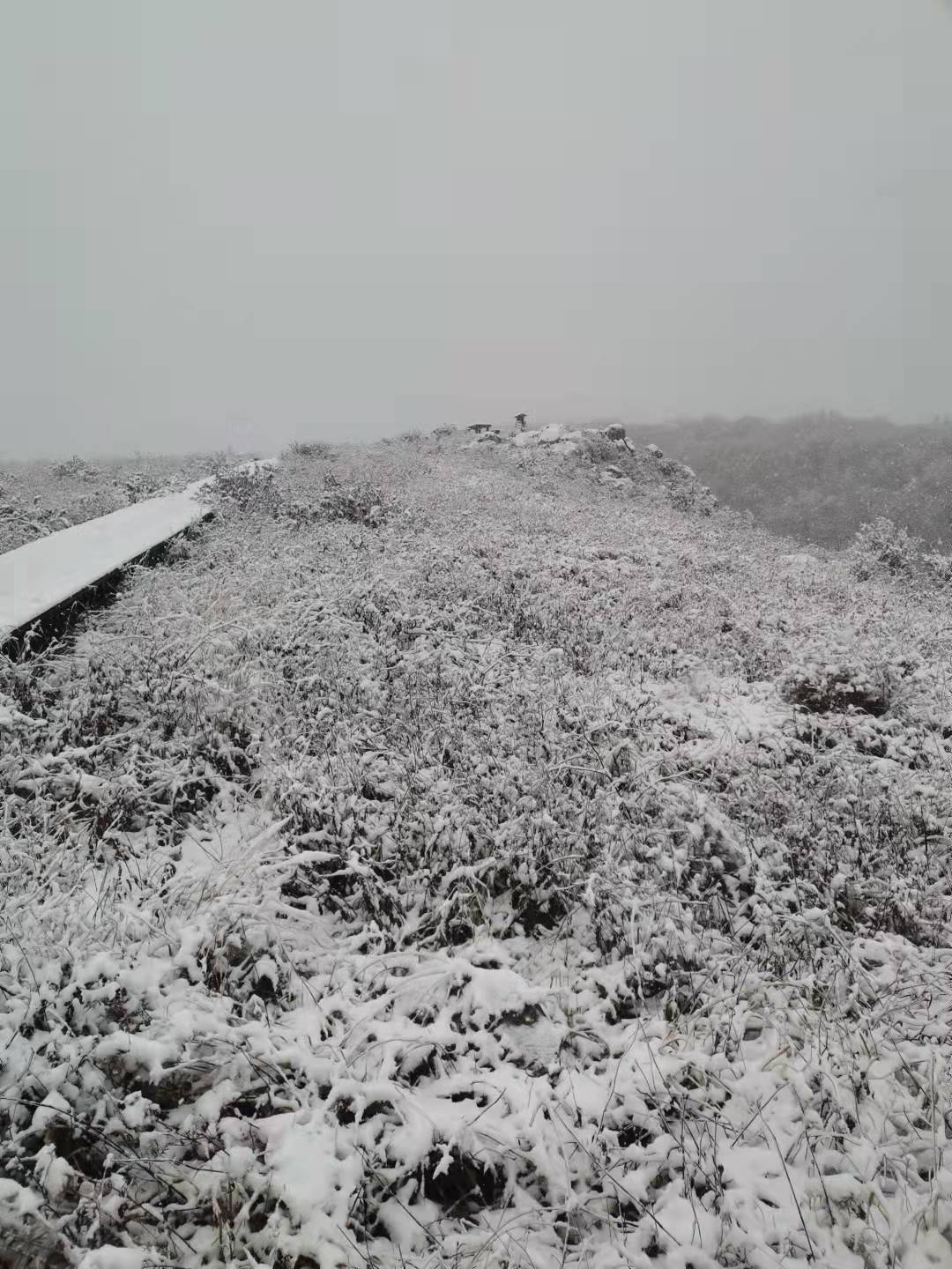 雪花|6厘米厚积雪，难得一见雾凇景象！百花山披“白纱”