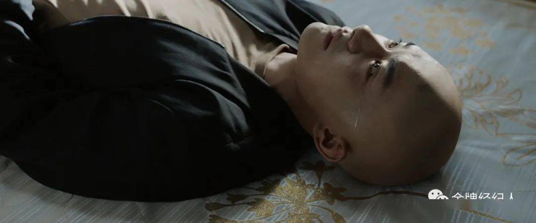 演技|磨演技、上价值，他们布局文艺片赛道