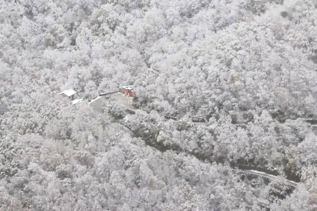 惊艳！房山百花山景区迎来十月飞雪！这画面太美……