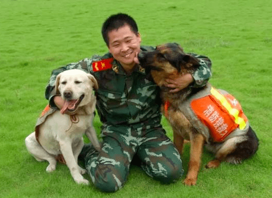 参与汶川地震救援的最后一只搜救犬冰洁离世