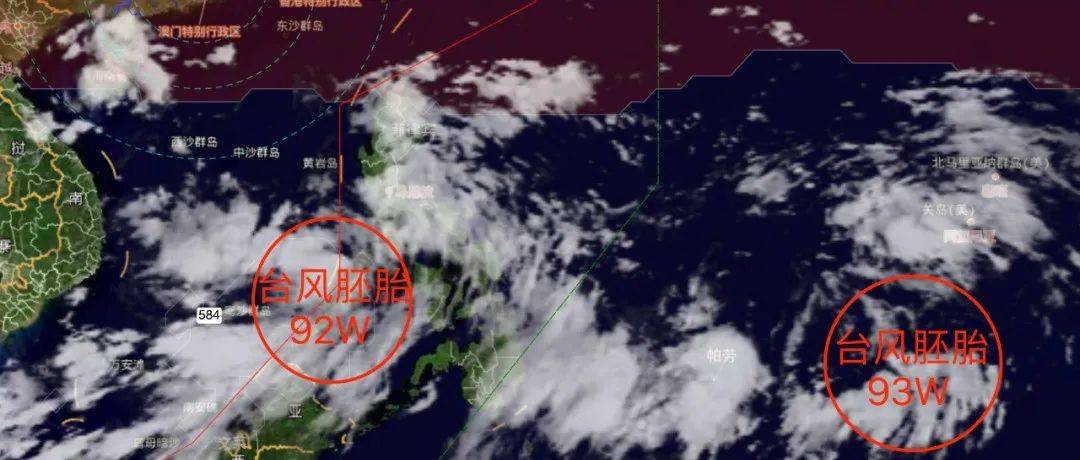 猝不及防！气温骤降，多个景区游客冻傻眼...冷空气即将来宁波，还有双台风正在酝酿…_胚胎