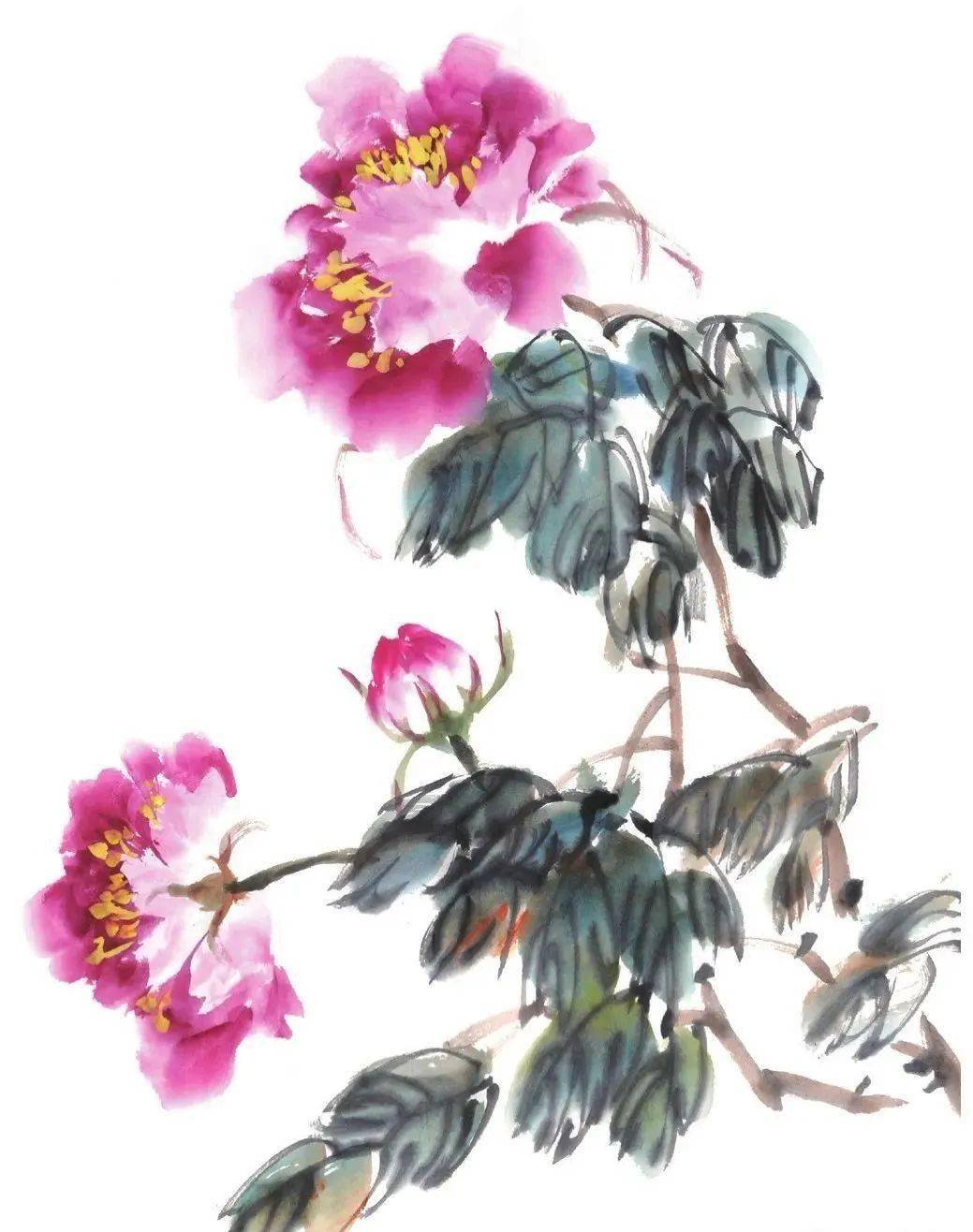 【国画教程】牡丹画法