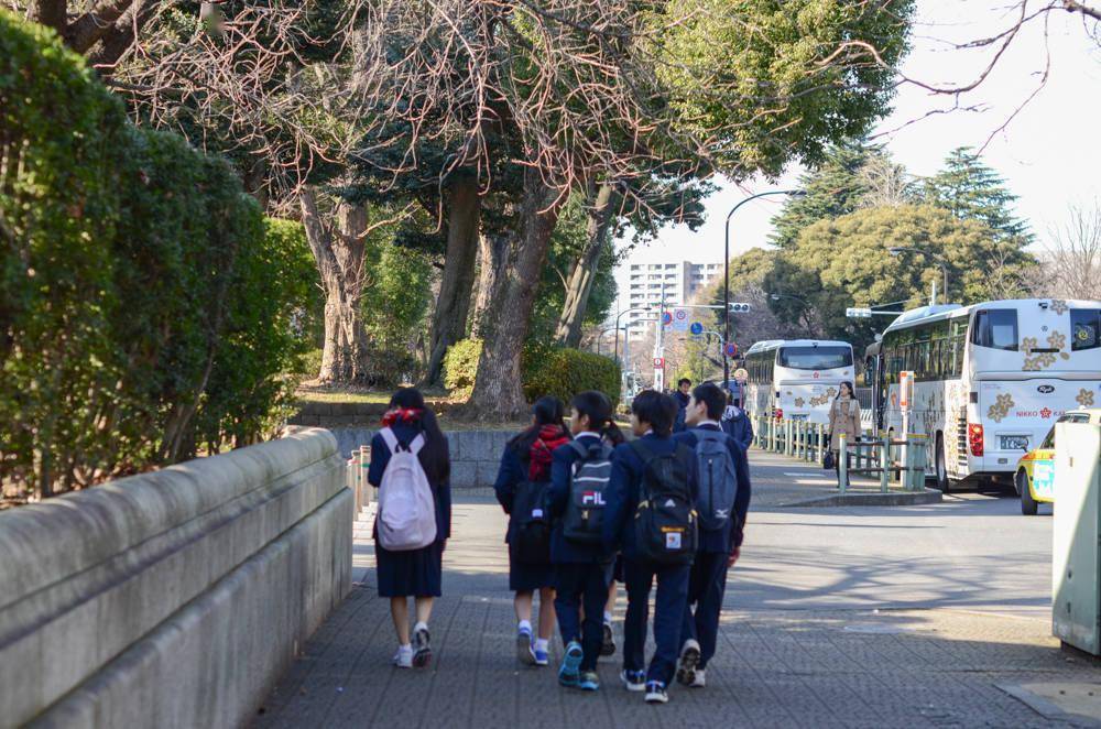 上野公园 是日本最大的公园 也是东京的文化中心 动物园