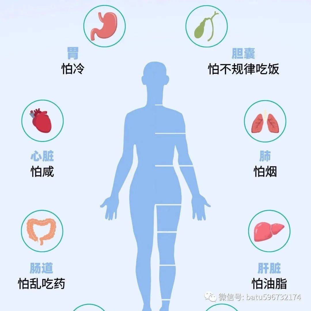 【器官保养】你的身体器官最怕什么呢?_管理