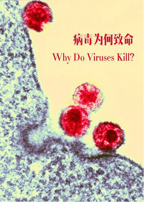 物种|我们有可能战胜病毒吗？人类与病毒抗争的艰难历程