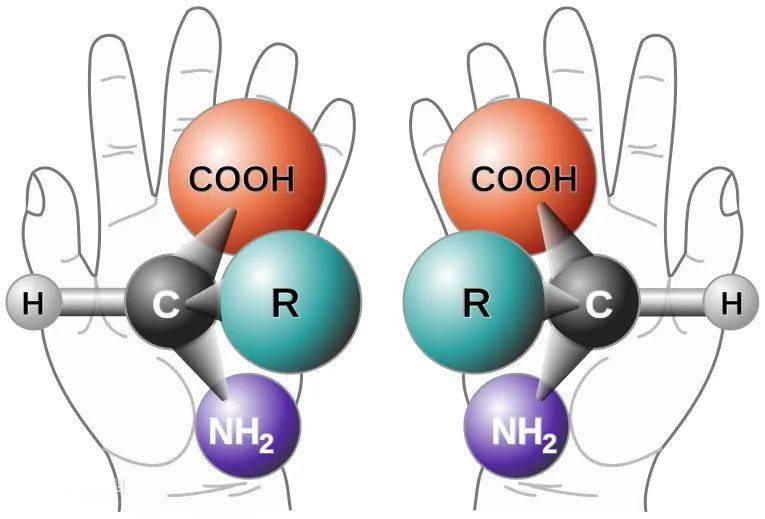 手性藥物曾致2萬新生兒畸形,本次諾獎新技術為這類藥物製備保駕