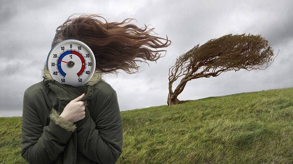 饮食|秋风起 寒露至 饮食宜“滋阴润肺、少辛增酸”