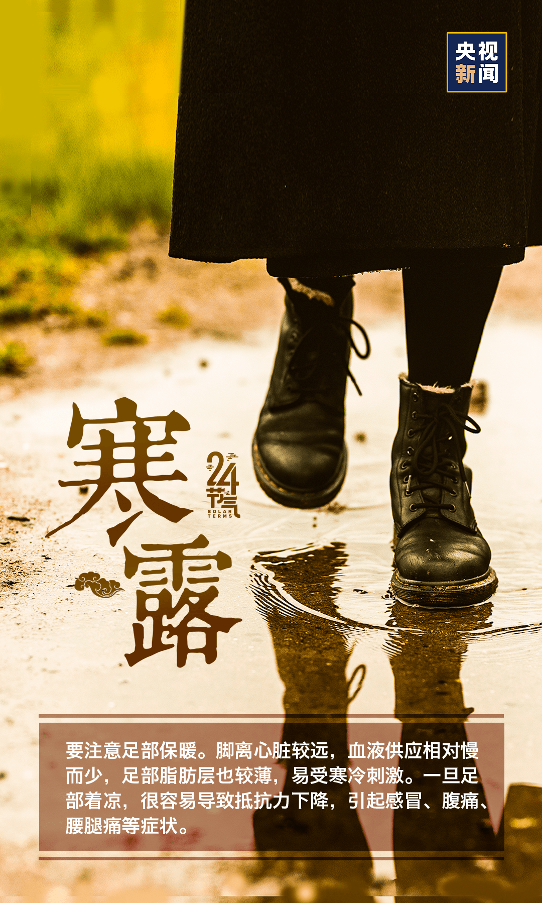 芦荻|寒露丨天冷了，多添衣