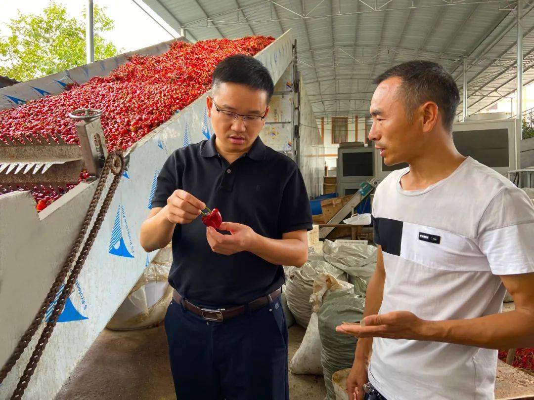 曾建祥到太白镇调研