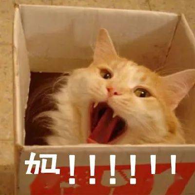 芮翰全网跟风的“雅诗兰黛高级脸”究竟长什么样？