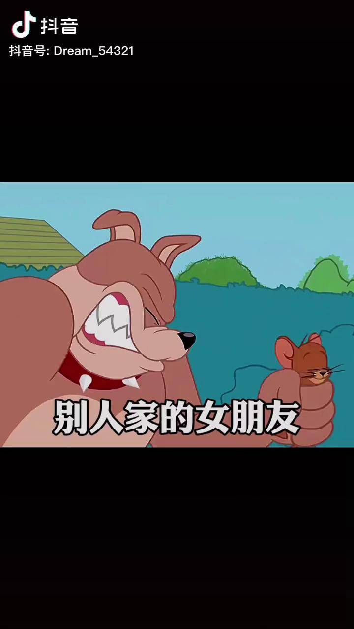 女朋友像妈一样宠着自己的男朋友再看看你呢猫和老鼠每帧都是表情包