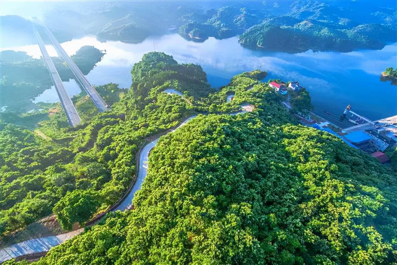 批了武英高速将增石桥铺互通收费站