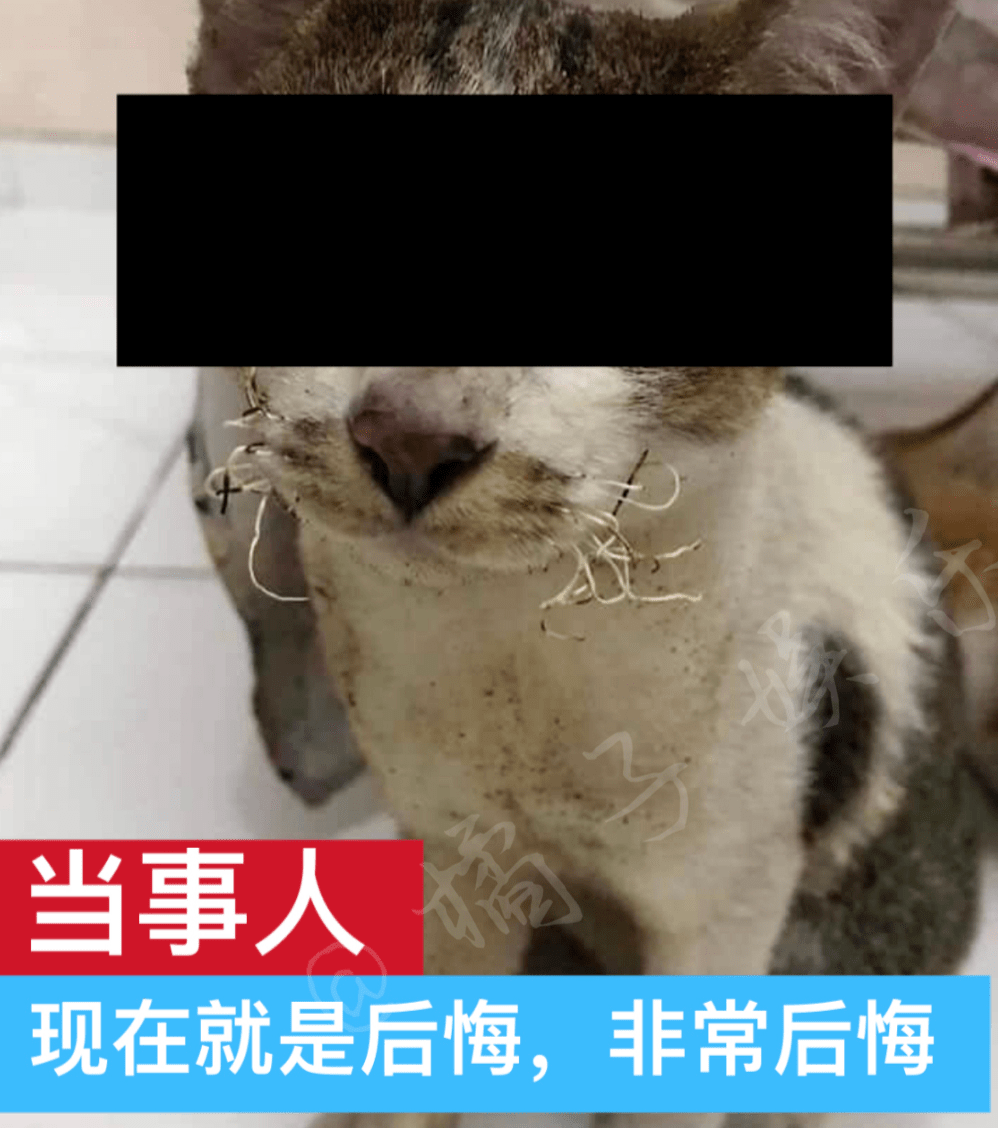 福州男子醉酒驾驶上高速，被交警查到后却磕头痛哭u2026u2026_闽清- 新闻时间