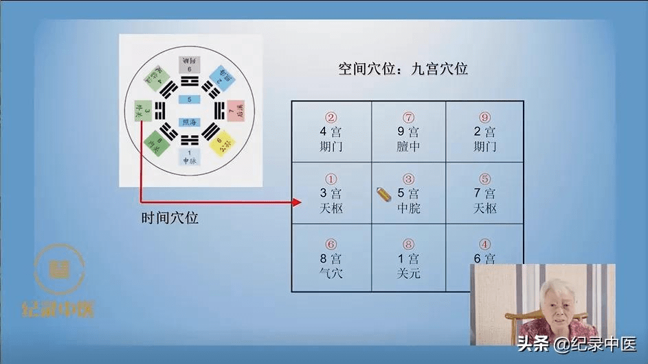 人体脏器九宫格图片