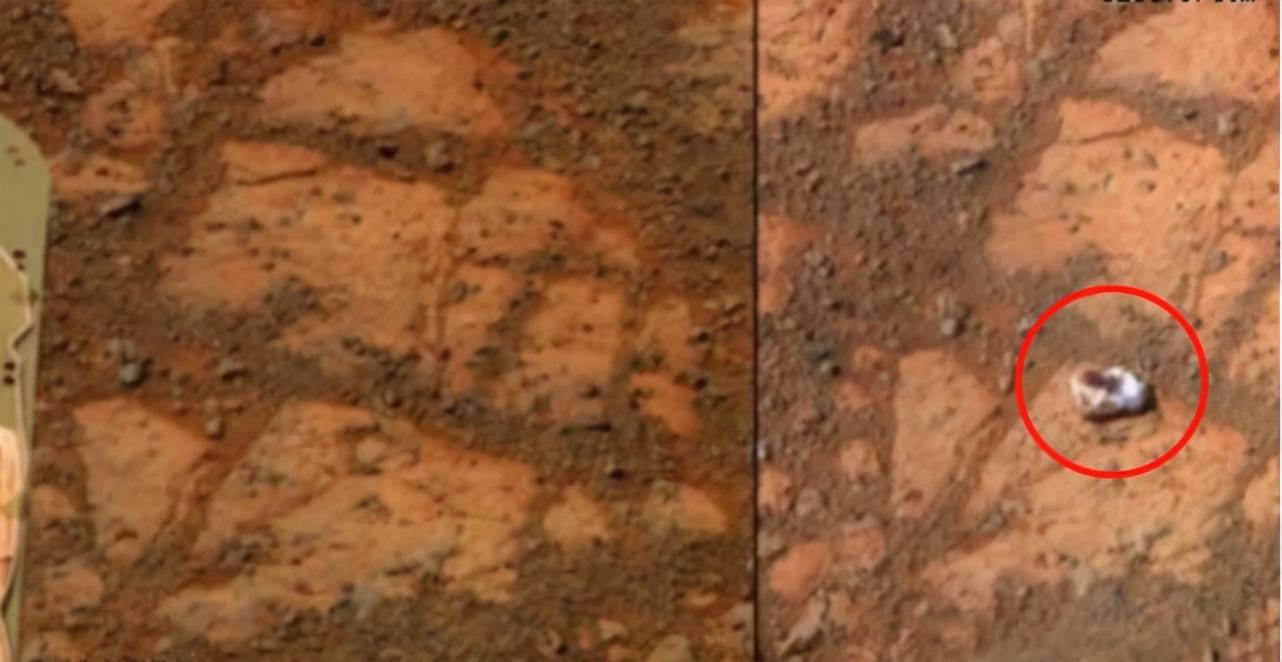 火星有什么重大秘密 说明文《火星的秘密》