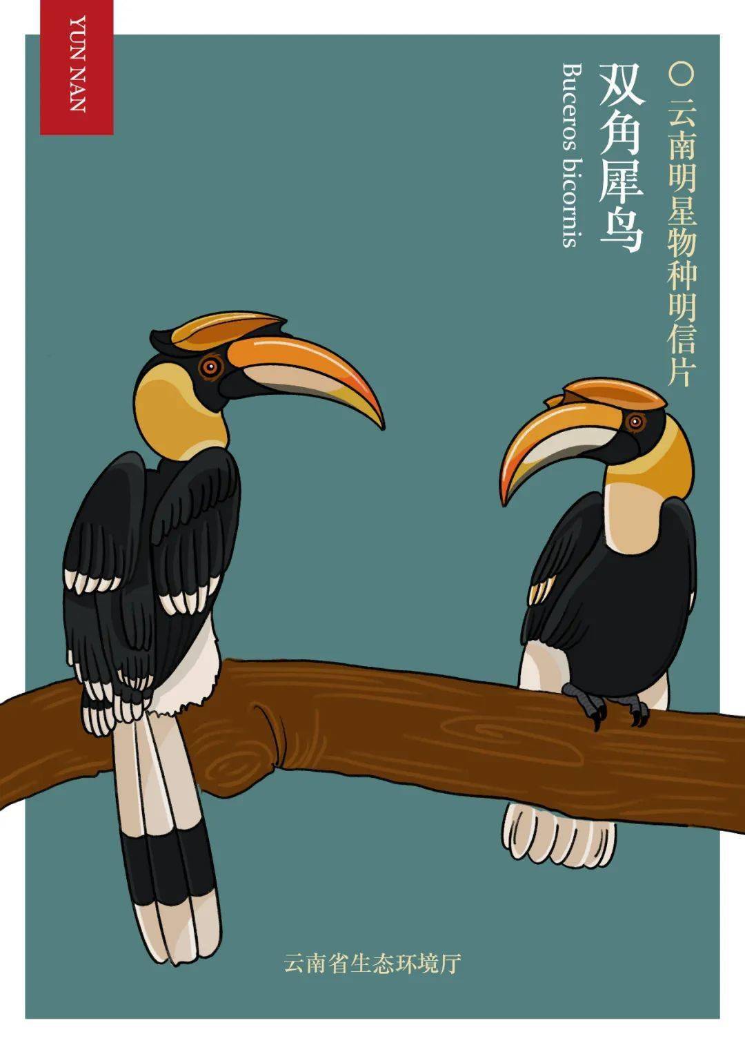 迎cop15,手绘云南明星物种明信片新鲜出炉!(上篇)_多样性