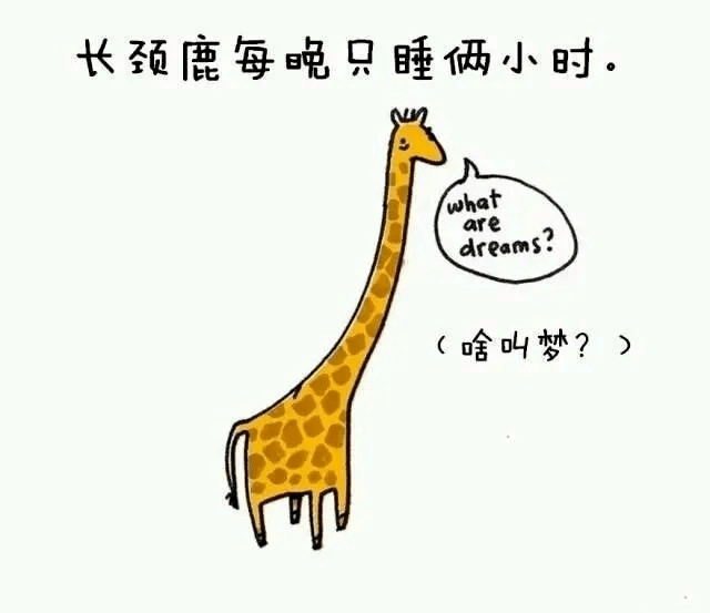 速求大师解析，晚上睡觉梦到蛇的深层含义与心理解析