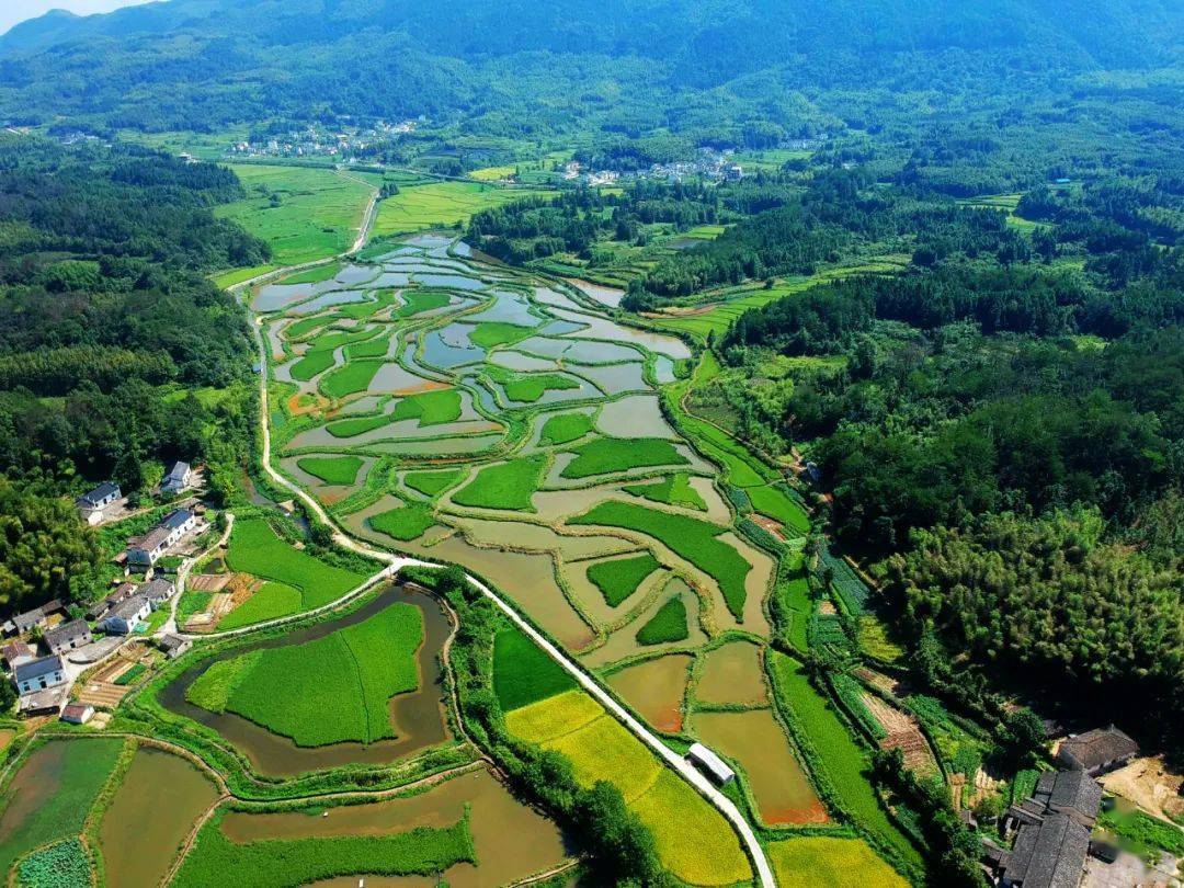 新时代的田园牧歌 现代人的梦里老家