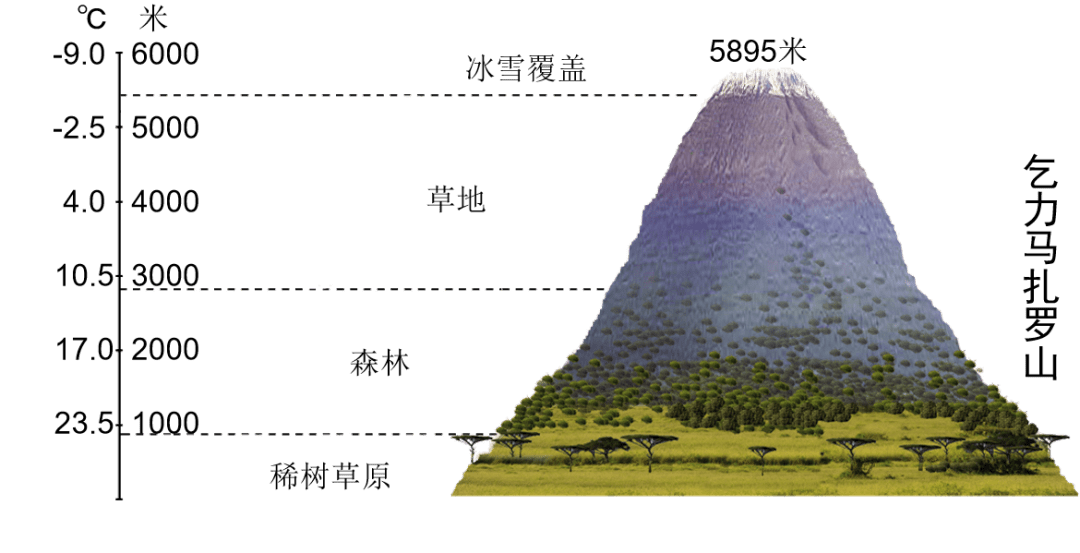 高山高原气候特点图图片