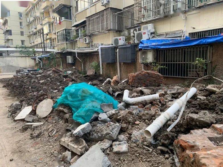 推土机|在推土机开进来后，我才看到了这座“花园”