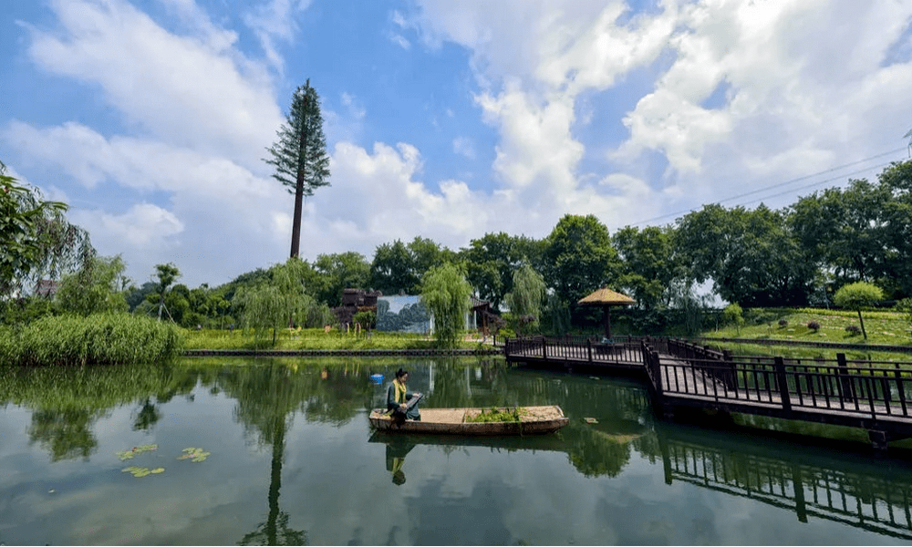 共同富裕海宁眼海宁梁家墩绿色经济的共富之路