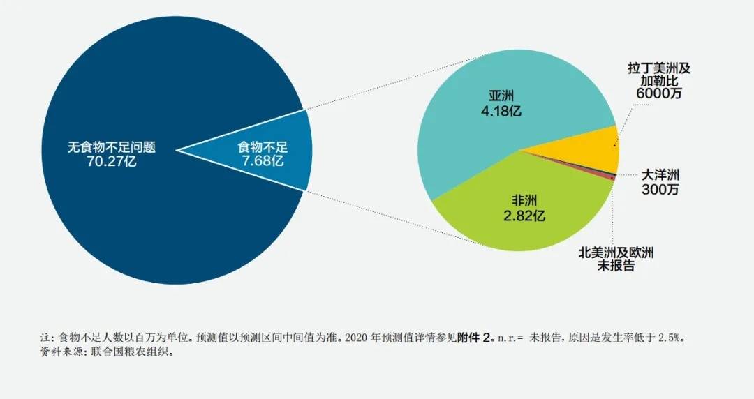 非洲饥饿人口_联合国粮农组织发布 2020 世界粮食安全和营养状况