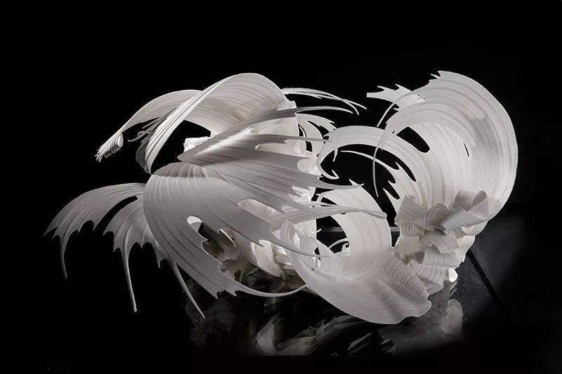 paulabastiaansen抟泥化蝶轻盈的生命之舞