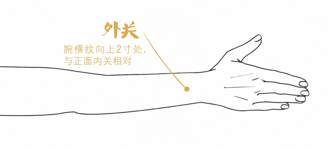 5外关穴:防手部寒气外关穴在前臂背侧,当阳池与肘尖的连线上,腕背横纹